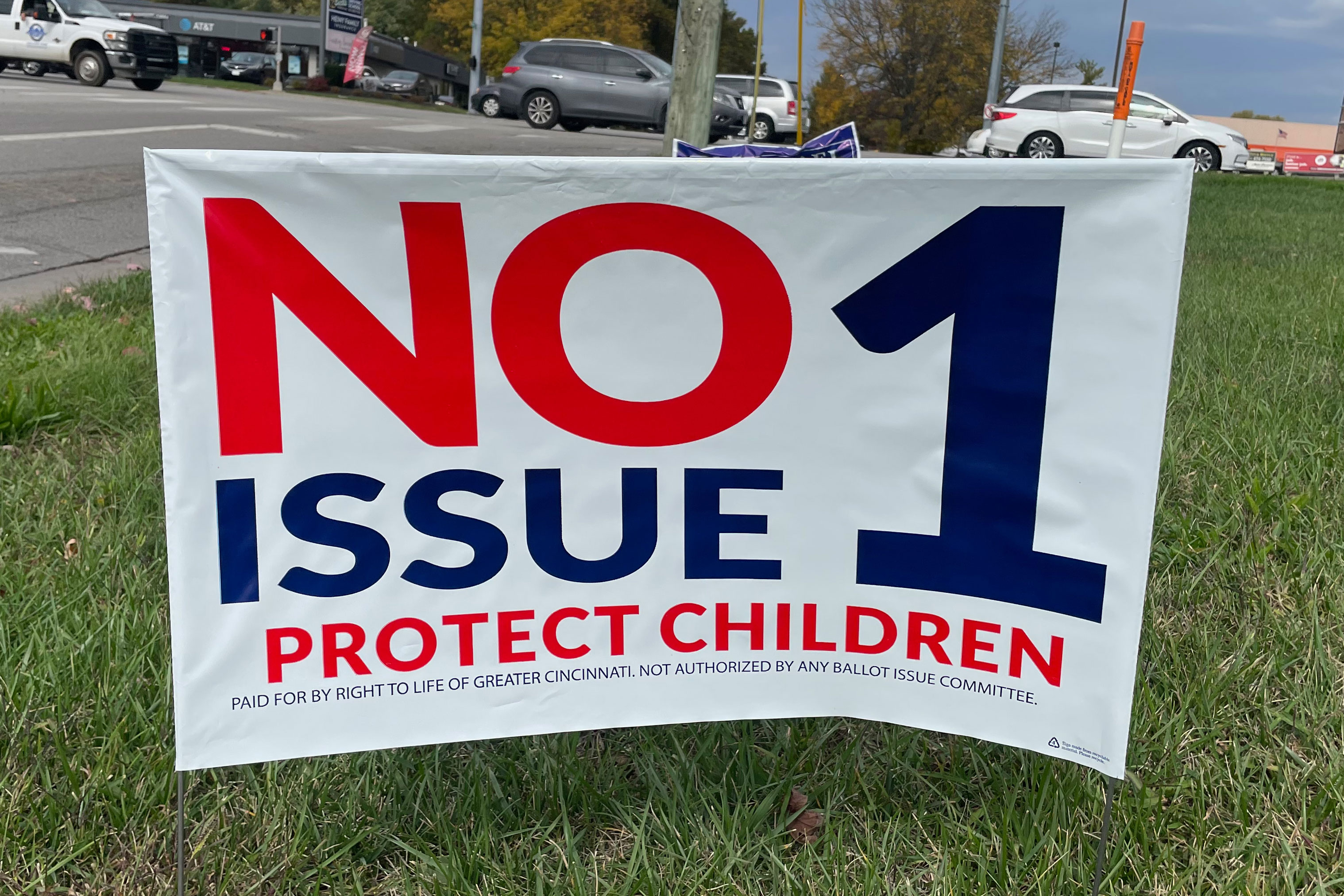 A photo of a sign that reads, "No, Issue 1. Protect children."